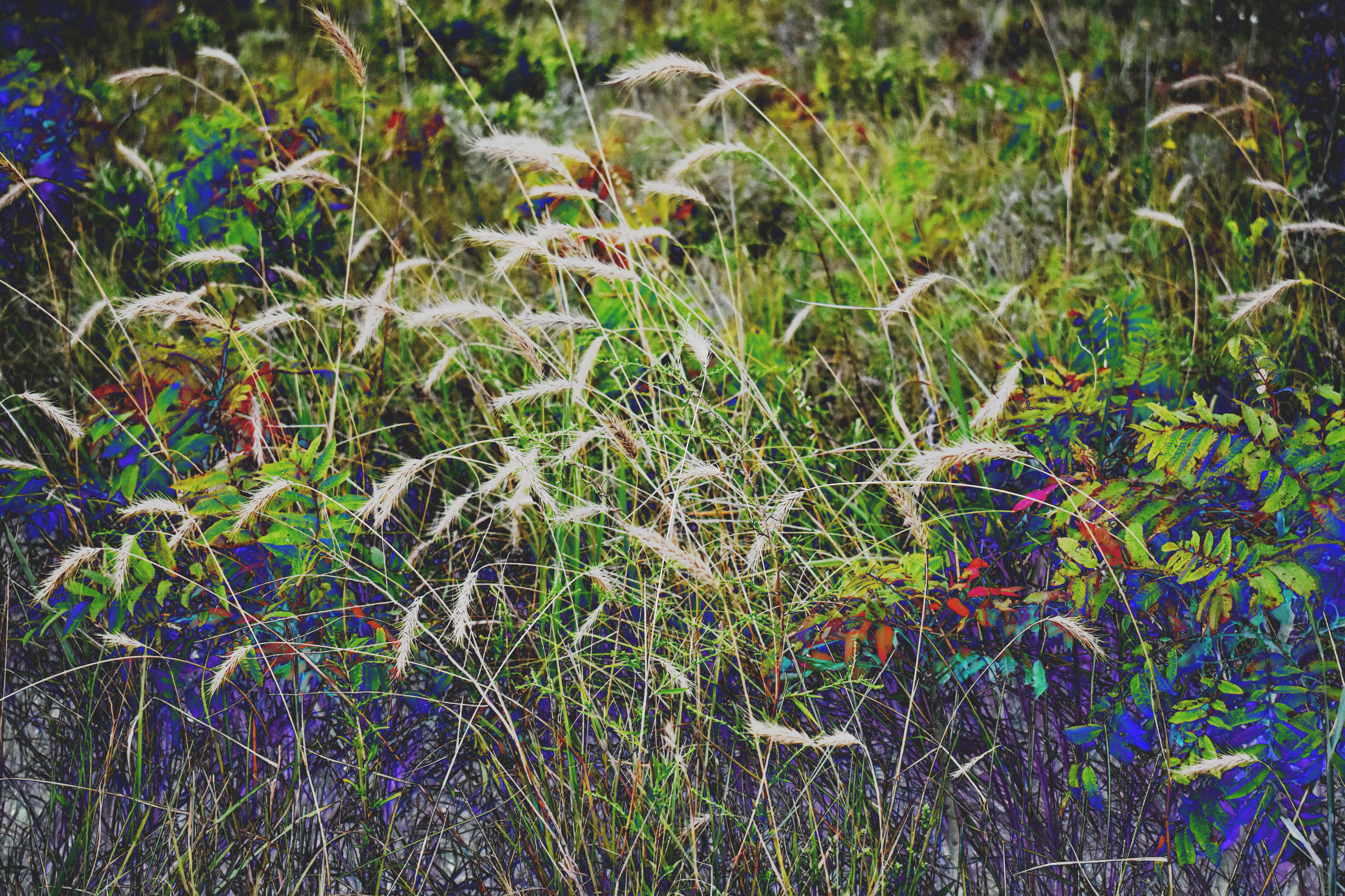 New site with a new vibe.